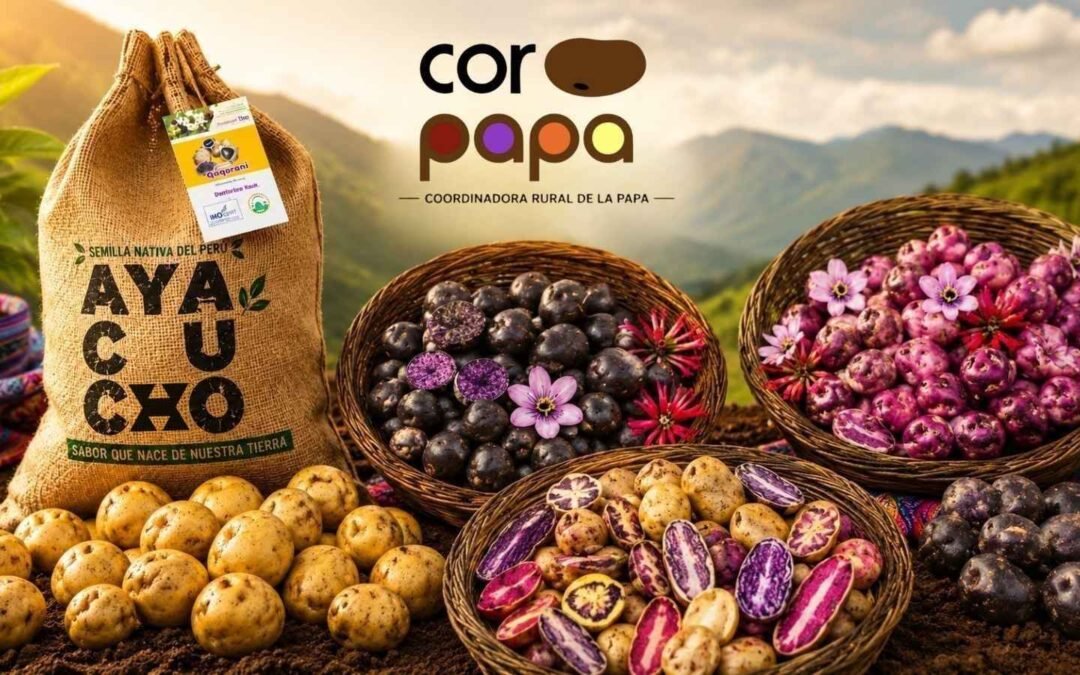 CORPAPA