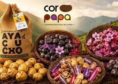 CORPAPA