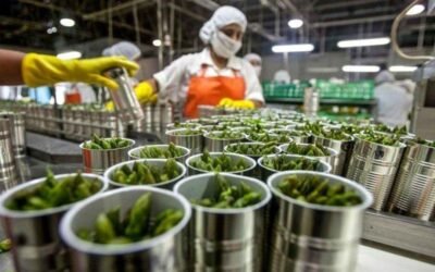 Perspectivas de la Agroindustria Peruana hacia 2027