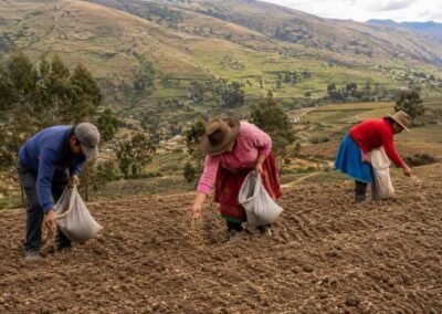 Campesinos en el campo sembrando trigo - Cámara Regional de Comercio Ayacucho