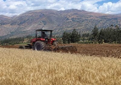 Plantando trigo con tractor en la sierra - Cámara Regional de Comercio Ayacucho