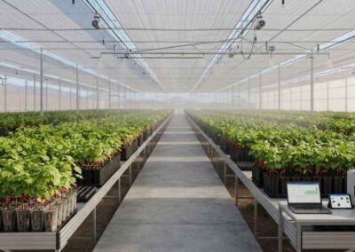Proyecto Uvas Patrimoniales - Camara Regional Comercio de Ayacucho