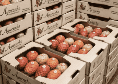 Tunas Ayacuchanas en caja - Cámara Regional de Comercio Ayacucho
