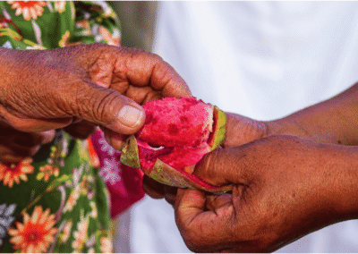 Tunas Ayacuchanas mano - Cámara Regional de Comercio Ayacucho