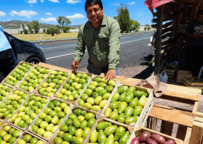 Tunas - Cámara Regional de Comercio Ayacucho