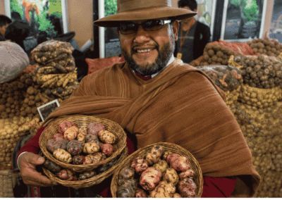 papas Ayacuchanas - Cámara Regional de Comercio Ayacucho